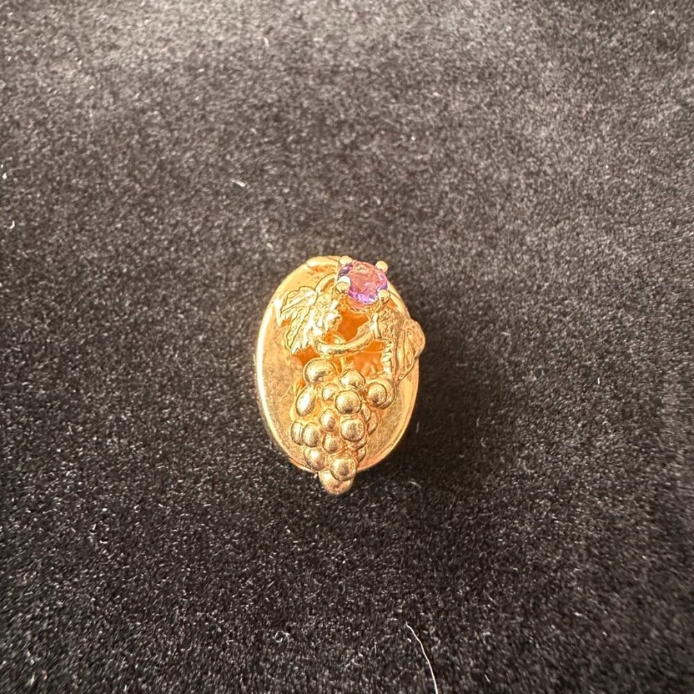 10k Gold Slide Bracelet Charm - Grapes with Gem